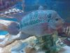 IMG00059-20100125-2225.jpg