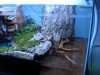 Vivarium 003.jpg