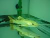 DSC02558.JPG