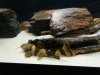 DSCF1081.JPG