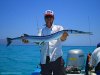 needlefish.jpg