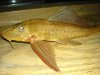 DSC03658.JPG