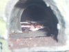 100_2737.JPG