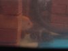 DSC05613.JPG