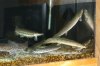 DSC01751.JPG