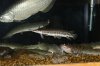 DSC01785.JPG