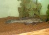100_1596.JPG
