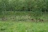 DSC_8820.jpg DSC_8820.jpg