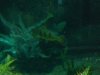 zoo pictures 269.JPG