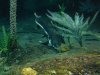 zoo pictures 275.JPG