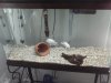 Feb 9 2010 021.JPG