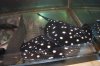fish pic 177.jpg