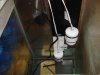 DSC01516.JPG