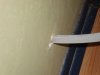 DSC01515.JPG