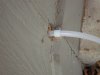 DSC01513.JPG