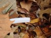 DSC01514.JPG