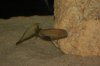 DSC_1452.JPG DSC_1452.JPG