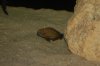 DSC_1448.JPG DSC_1448.JPG
