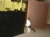 cat 016.JPG