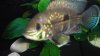 DSC01743.JPG