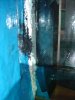 DSC05763.JPG