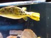IMG00149-20100206-2146 00000.jpg