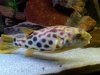 IMG00151-20100206-2147 00000.jpg