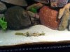 IMG00130-20100126-1647.jpg