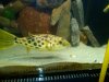IMG00125-20100125-1711 00000.jpg