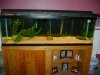 DSC02352.JPG
