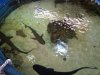 IMG00187-20100215-1732.jpg