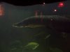 FishTrip 085.jpg