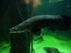 FishTrip 086.jpg