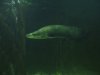 FishTrip 088.jpg