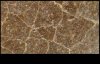 hadrosaurid china cu.jpg