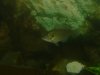DSC00103.JPG