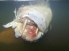 62 - pescado raro.jpg
