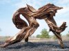 driftwood.JPG