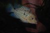 DSC_0189.JPG DSC_0189.JPG
