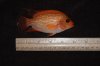 DSC_0219.JPG DSC_0219.JPG