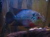 DSC03842.JPG
