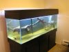 drift wood pics 002 (Medium).jpg drift wood pics 002 (Medium).jpg