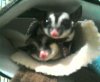 Max and Momo!! 001.jpg