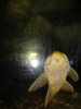 DSC03681.JPG