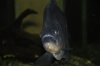 DSC_6828.JPG