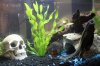 Tank shot 1.jpg