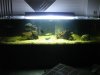 Fish3.jpg