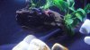 DSC01805.JPG