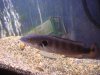 DSC01386.JPG