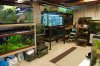 fishroom as of end of feb 004.jpg